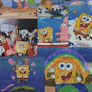 Meet your Posher, Sydney